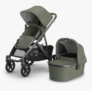 UPPAbaby Vista V3 "Evelyn" Stroller and Carrycot Bundle